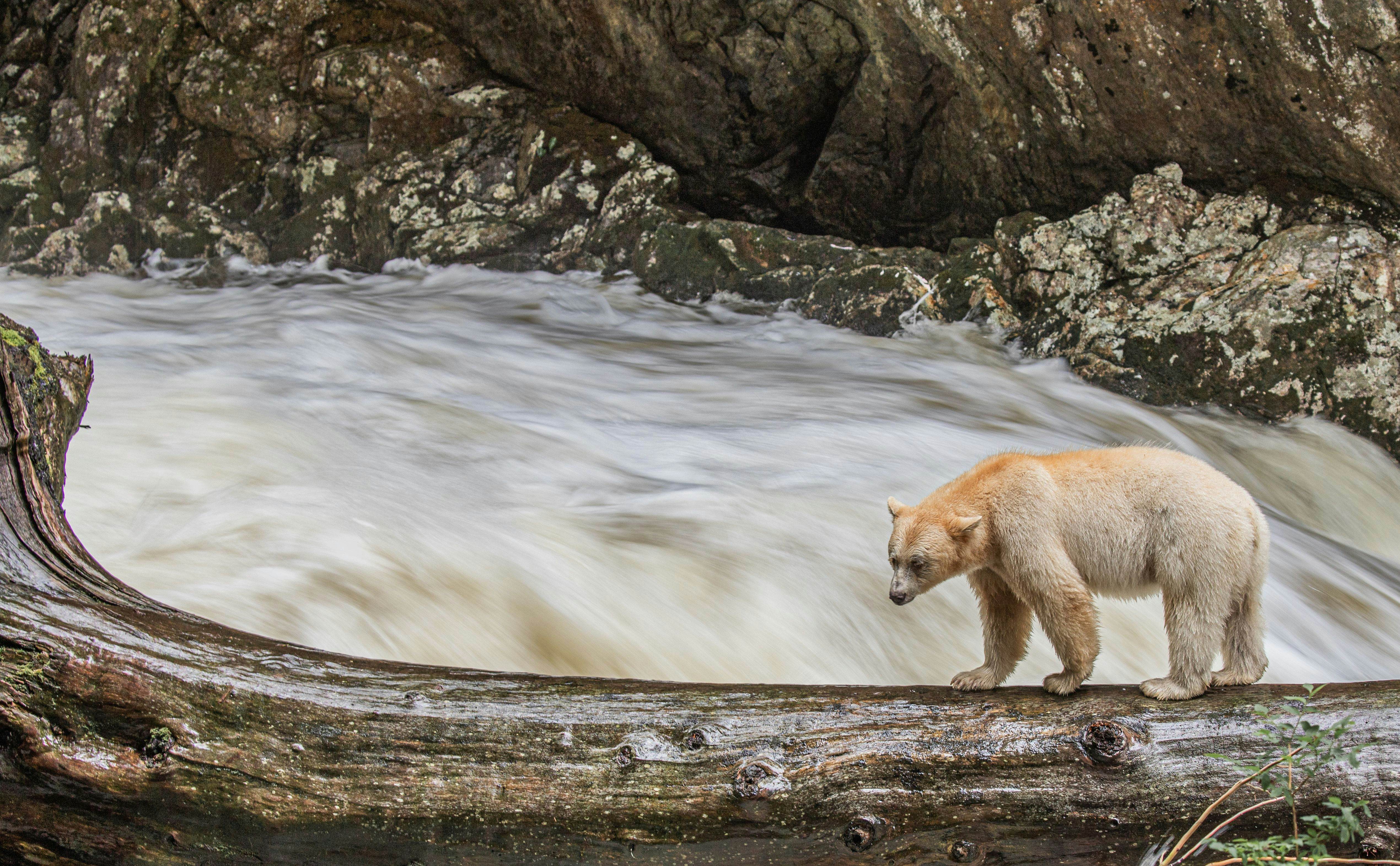 British Columbia Travel - Lonely Planet | Canada, North America